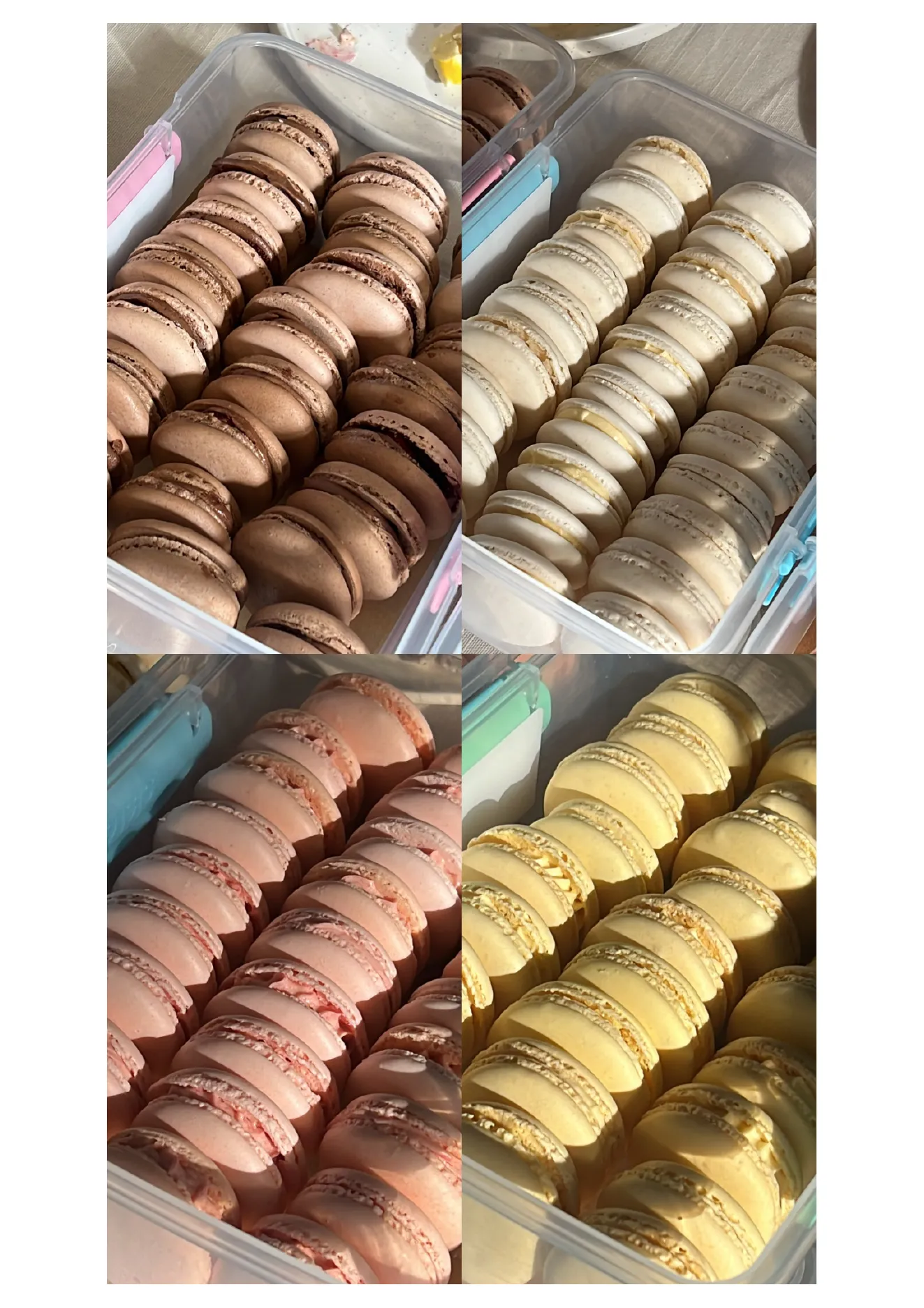 Pastels handmade macarons in chocolate, vanilla, strawberry and lemon flavours
